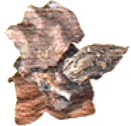 Animal Hide - Wiki of Mana, the Mana encyclopedia
